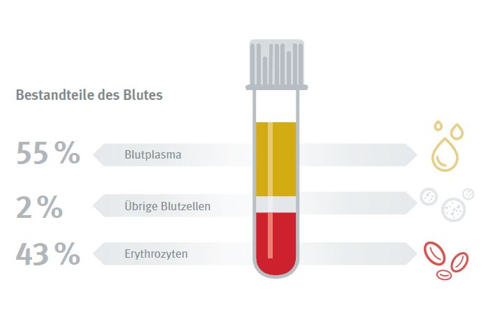 Bestandteile des Blutes