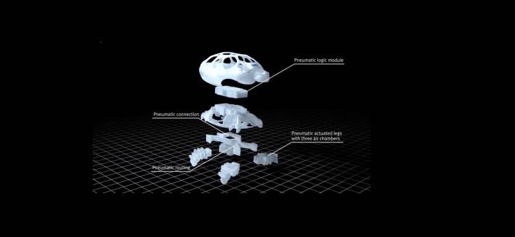 Festo BionicTurtleWalker