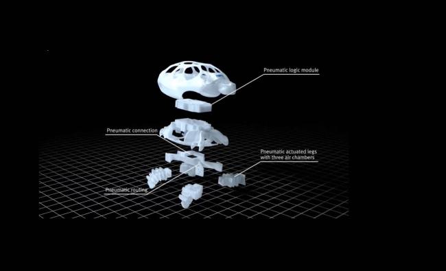 Festo BionicTurtleWalker