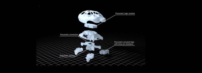 Festo BionicTurtleWalker